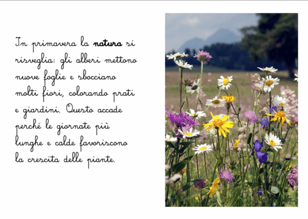 Primavera: un libro ispirato al metodo Montessori – ebook - immagine 3