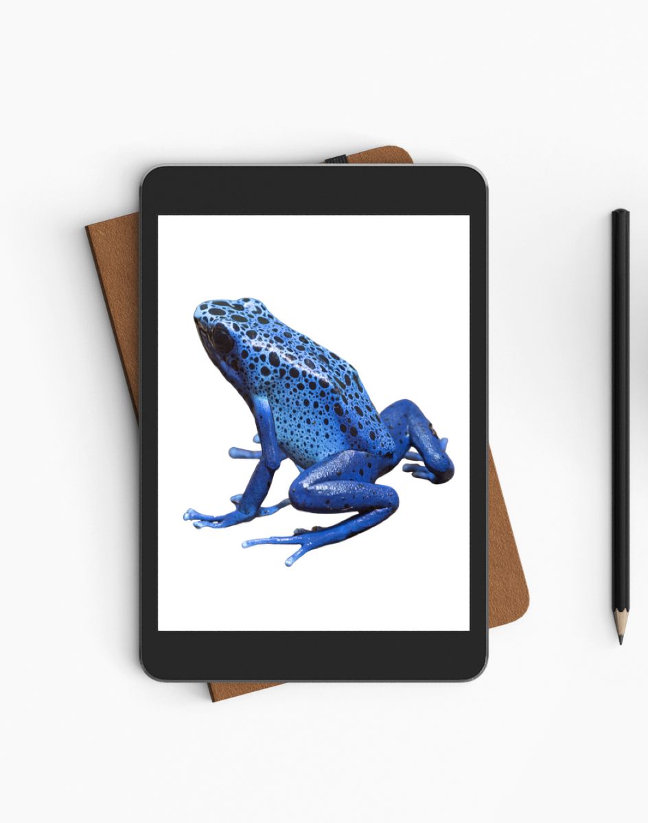 Libro sul colore blu per bambini - ebook - immagine 2
