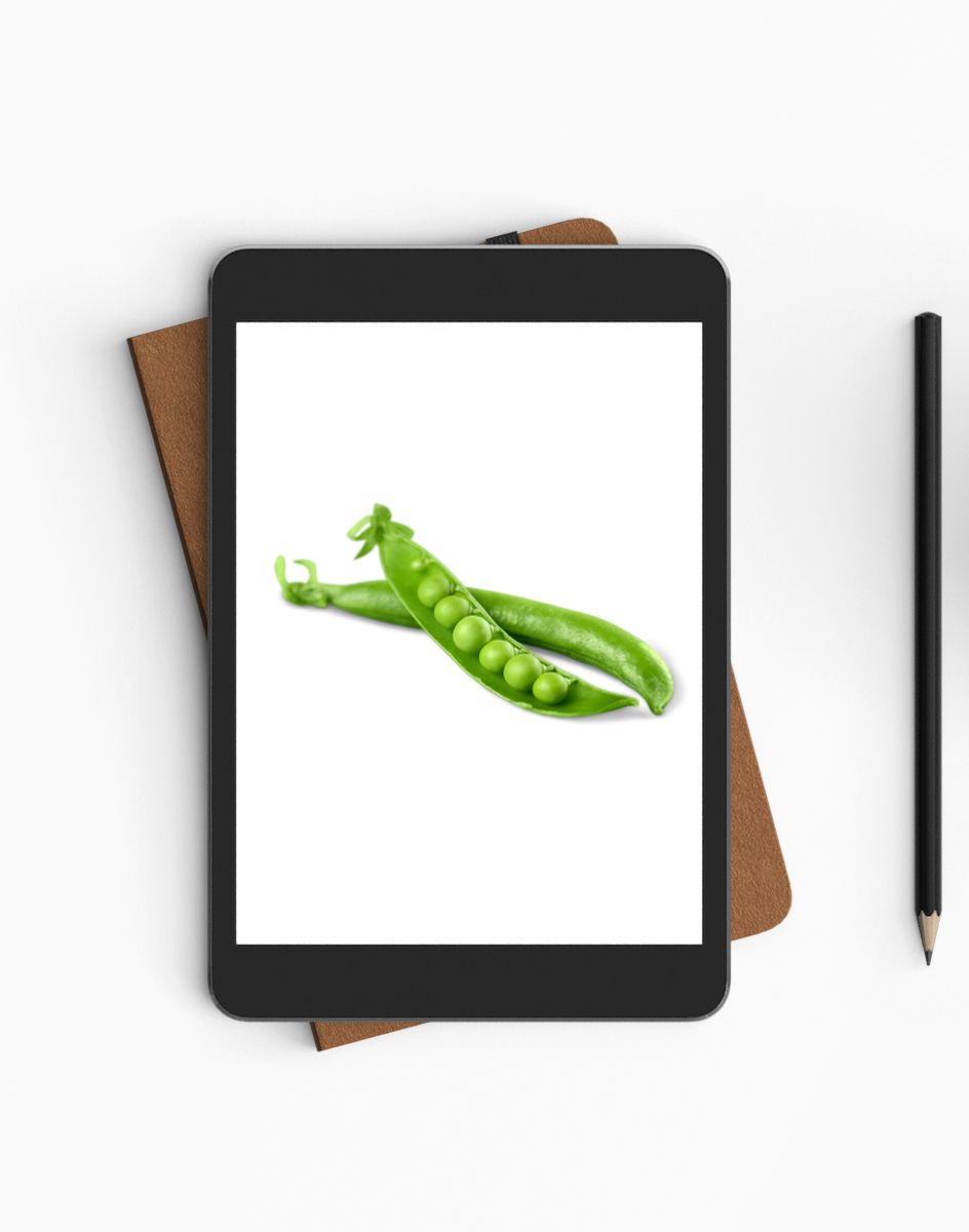 Libro sul colore verde per bambini - ebook - immagine 3